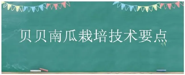 贝贝南瓜栽培技术要点 | 农业答疑