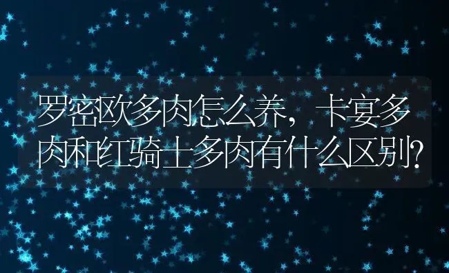 罗密欧多肉怎么养,卡宴多肉和红骑士多肉有什么区别？ | 养殖常见问题