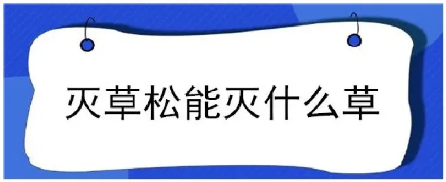 灭草松能灭什么草 | 三农答疑