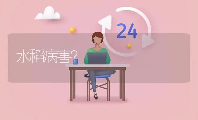 水稻病害? | 养殖问题解答