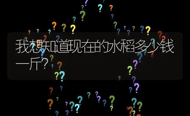 我想知道现在的水稻多少钱一斤? | 养殖问题解答