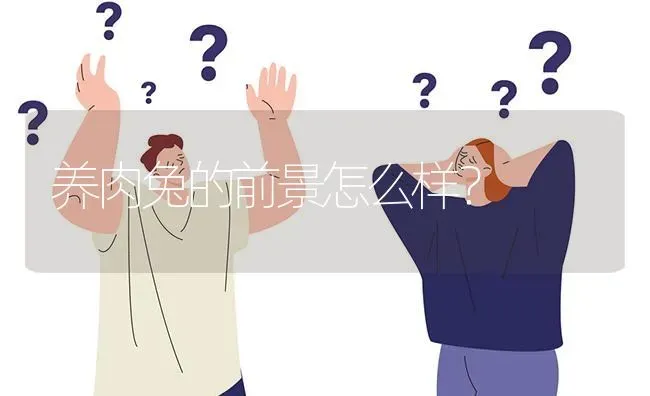 养肉兔的前景怎么样? | 养殖问题解答
