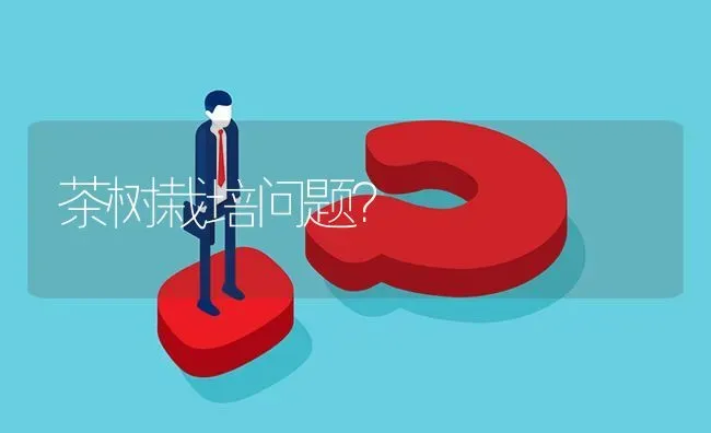 茶树栽培问题? | 养殖问题解答