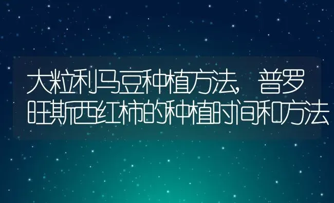 大粒利马豆种植方法,普罗旺斯西红柿的种植时间和方法 | 养殖常见问题