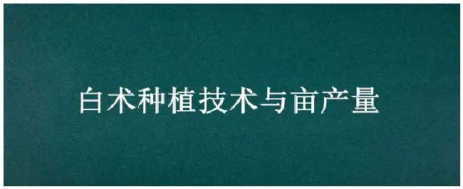 白术种植技术与亩产量 | 三农问答