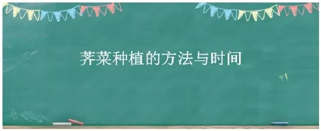 荠菜种植的方法与时间 | 三农问答