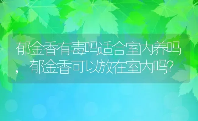 郁金香有毒吗适合室内养吗,郁金香可以放在室内吗？ | 养殖常见问题