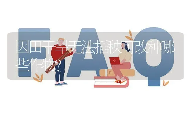 因田干旱无法插秧可改种哪些作物? | 养殖问题解答