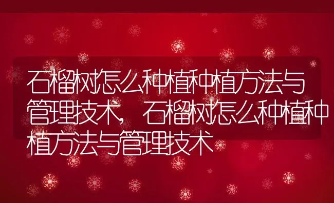 石榴树怎么种植种植方法与管理技术,石榴树怎么种植种植方法与管理技术 | 养殖常见问题