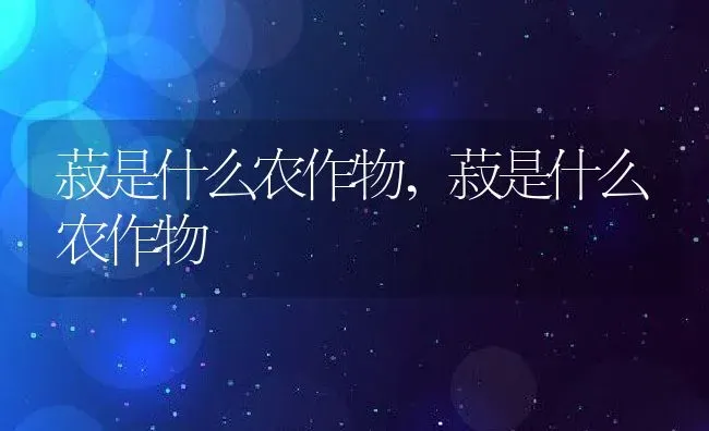 菽是什么农作物,菽是什么农作物 | 养殖常见问题