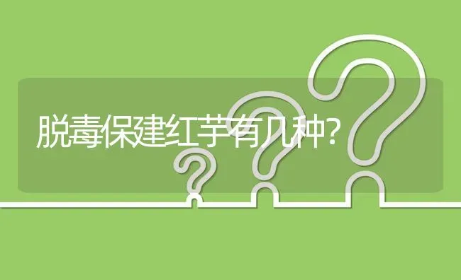 脱毒保建红芋有几种? | 养殖问题解答