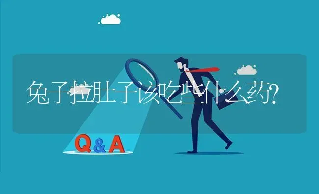 兔子拉肚子该吃些什么药? | 养殖问题解答