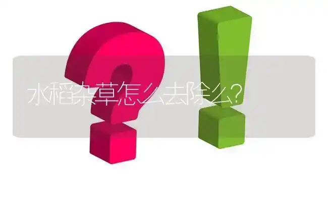 水稻杂草怎么去除么? | 养殖问题解答