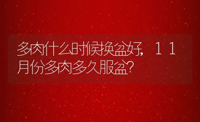 多肉什么时候换盆好,11月份多肉多久服盆？ | 养殖常见问题