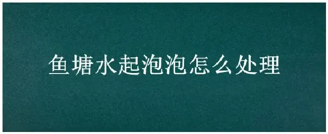 鱼塘水起泡泡怎么处理 | 三农答疑