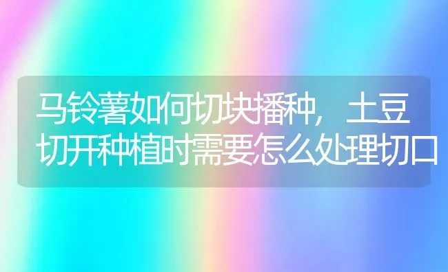 马铃薯如何切块播种,土豆切开种植时需要怎么处理切口 | 养殖常见问题