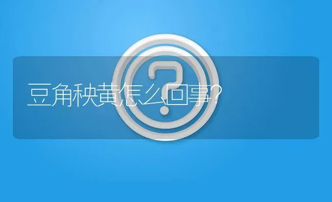 豆角秧黄怎么回事? | 养殖问题解答