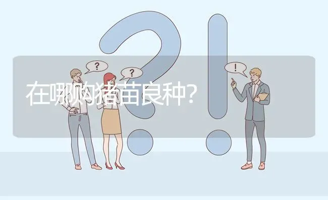 在哪购猪苗良种? | 养殖问题解答