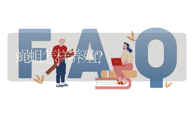 蝇蛆怎样养殖? | 养殖问题解答