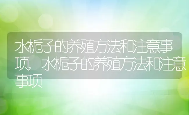 水栀子的养殖方法和注意事项,水栀子的养殖方法和注意事项 | 养殖常见问题