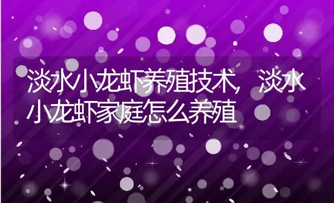 淡水小龙虾养殖技术,淡水小龙虾家庭怎么养殖 | 养殖常见问题