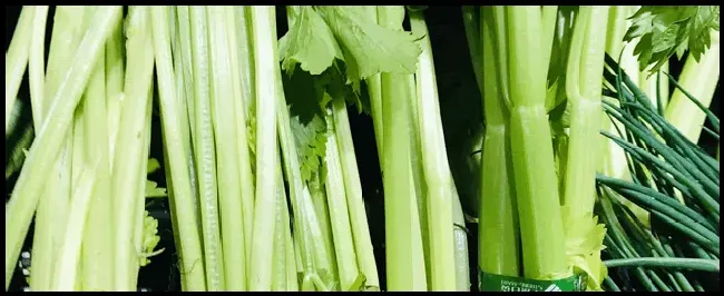 夏芹菜种植绝招 | 三农答疑