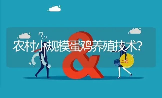 农村小规模蛋鸡养殖技术? | 养殖问题解答