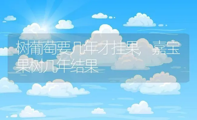 树葡萄要几年才挂果,嘉宝果树几年结果 | 养殖常见问题
