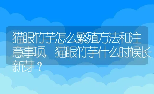 猫眼竹芋怎么繁殖方法和注意事项,猫眼竹芋什么时候长新芽？ | 养殖常见问题