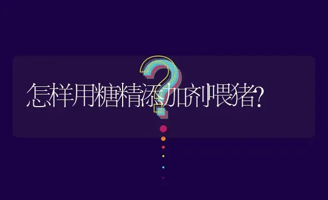 怎样用糖精添加剂喂猪? | 养殖问题解答