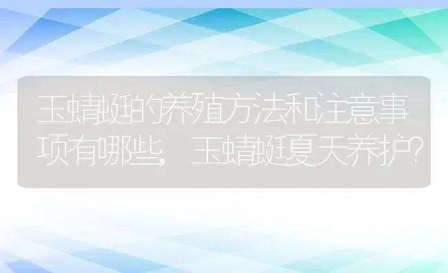 玉蜻蜓的养殖方法和注意事项有哪些,玉蜻蜓夏天养护？ | 养殖常见问题