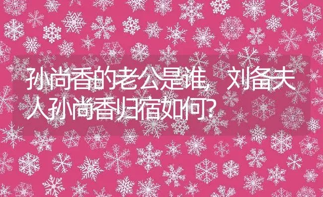孙尚香的老公是谁,刘备夫人孙尚香归宿如何？ | 养殖常见问题
