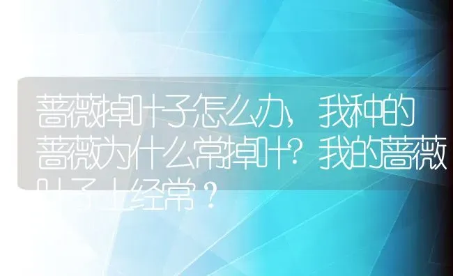 蔷薇掉叶子怎么办,我种的蔷薇为什么常掉叶?我的蔷薇叶子上经常？ | 养殖常见问题