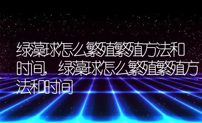 绿藻球怎么繁殖繁殖方法和时间,绿藻球怎么繁殖繁殖方法和时间 | 养殖常见问题