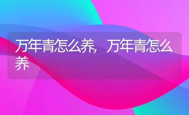 万年青怎么养,万年青怎么养 | 养殖常见问题