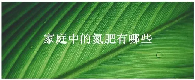 家庭中的氮肥有哪些 | 生活常识