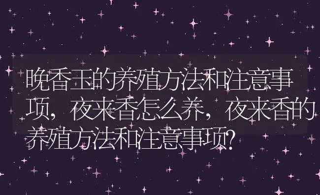 晚香玉的养殖方法和注意事项,夜来香怎么养，夜来香的养殖方法和注意事项？ | 养殖常见问题