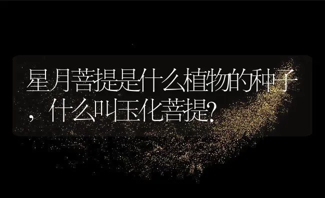 星月菩提是什么植物的种子,什么叫玉化菩提？ | 养殖常见问题