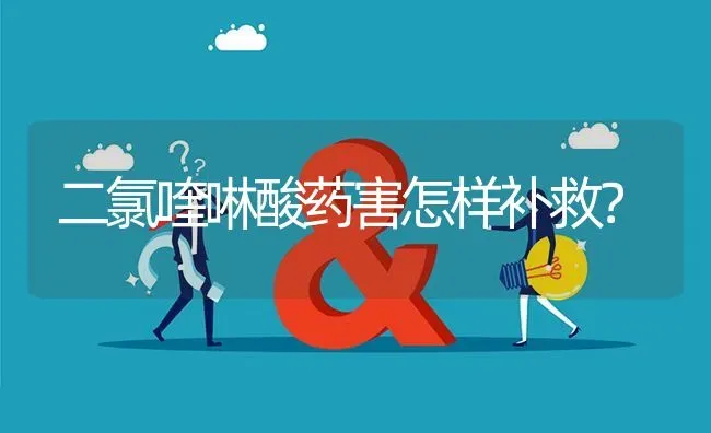 二氯喹啉酸药害怎样补救? | 养殖问题解答