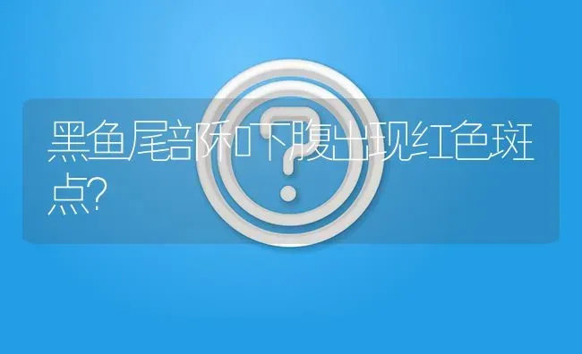 黑鱼尾部和下腹出现红色斑点? | 养殖问题解答