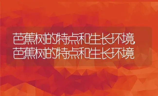 芭蕉树的特点和生长环境,芭蕉树的特点和生长环境 | 养殖常见问题