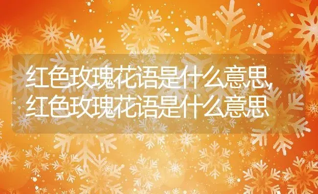 大戟科代表植物大戟科植物的主要特征,请问这种植物叫什么名字？有树干，树冠有点像仙人掌类？ | 养殖常见问题