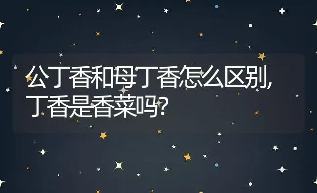 公丁香和母丁香怎么区别,丁香是香菜吗？ | 养殖常见问题