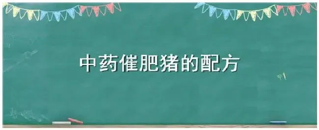 中药催肥猪的配方 | 三农答疑