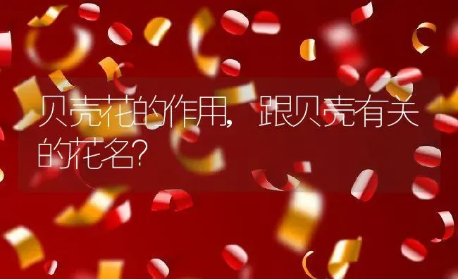 贝壳花的作用,跟贝壳有关的花名？ | 养殖常见问题