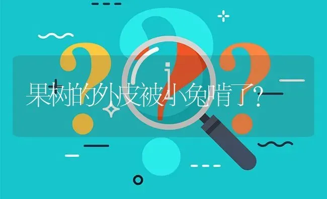 果树的外皮被小兔啃了? | 养殖问题解答