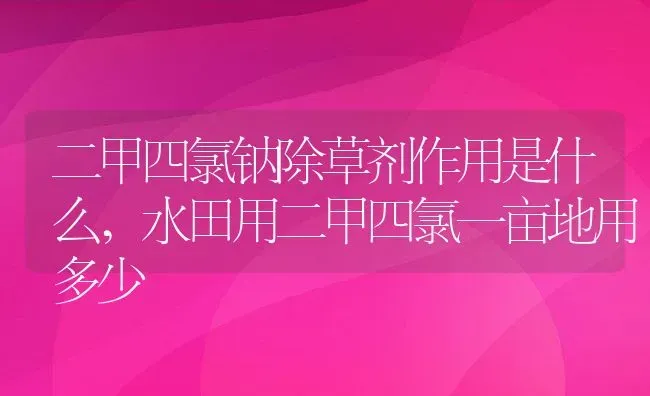 二甲四氯钠除草剂作用是什么,水田用二甲四氯一亩地用多少 | 养殖常见问题