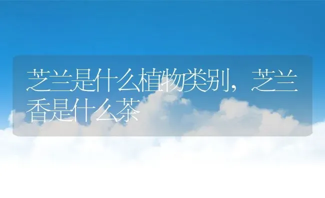 芝兰是什么植物类别,芝兰香是什么茶 | 养殖常见问题