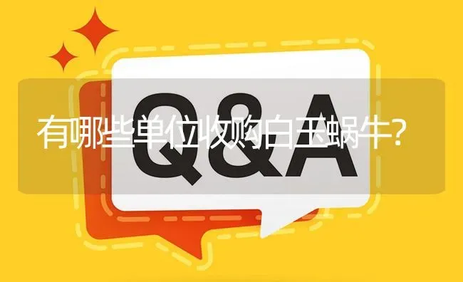 有哪些单位收购白玉蜗牛? | 养殖问题解答