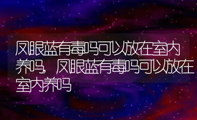 凤眼蓝有毒吗可以放在室内养吗,凤眼蓝有毒吗可以放在室内养吗 | 养殖常见问题